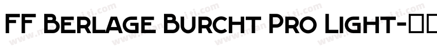 FF Berlage Burcht Pro Light字体转换